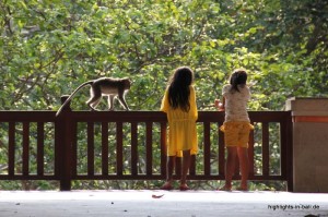 Affenwald in Ubud