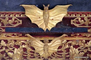 Feldermaus-Detail