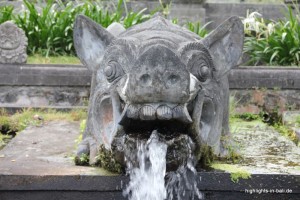 wasserspeiendes Schwein