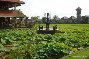 Brunnen und Retaurant am Reisfeld